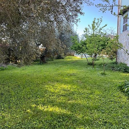 La Piccola Provenza Villa Фиано Романо Екстериор снимка