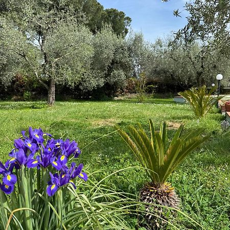 La Piccola Provenza Villa Фиано Романо Екстериор снимка