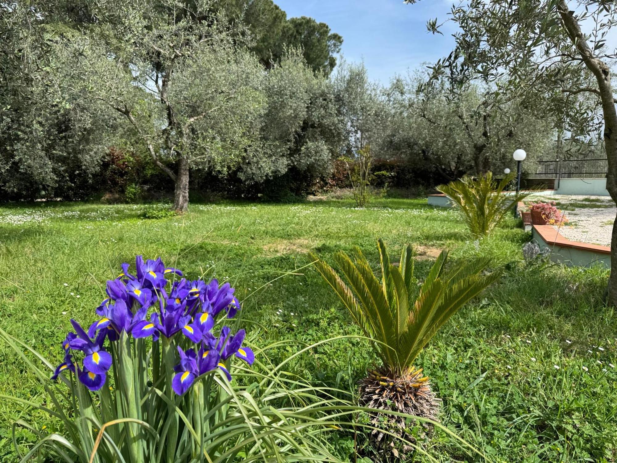 La Piccola Provenza Villa Фиано Романо Екстериор снимка